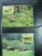 Delcampe - Collection WWF Album, Timbres Neufs ** Enveloppes Algérie Botswana Fidji - Andere & Zonder Classificatie