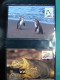 Delcampe - Collection WWF, Album, Timbres Neufs ** Enveloppe Somalien Galapagos - Autres & Non Classés
