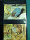 Delcampe - Collection WWF, Album, Timbres Neufs ** Enveloppe Somalien Galapagos - Autres & Non Classés