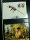 Delcampe - Collection WWF, Album, Timbres Neufs ** Enveloppe Somalien Galapagos - Autres & Non Classés