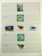 Delcampe - Collection Théme Oiseaux, Album, Timbres, Neufs Et Oblitérés Colonies Françaises - Collections, Lots & Series