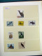 Delcampe - Collection Thématique Oiseaux, Sur Album, Timbres, Neufs** Oblitérés Pélicans - Colecciones & Series