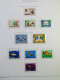Delcampe - Collection Italie Occupations Albanie Corfou Timbres Neufs* Aussi Cpl Sèries CV - Collections