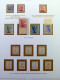Collection Érythrée Album Timbres Neufs** Serié Cpl, Très Haute CV - Collections