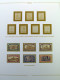 Delcampe - Collection Érythrée Album Timbres Neufs** Serié Cpl, Très Haute CV - Collections
