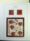 Delcampe - Collection France, Sur Pages D'album, De 2005 à 2007, Timbres Neufs ** Livret BF - Collections
