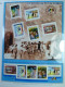 Delcampe - Collection France, Pages D'album, Timbres, Livret BF Neufs ** De 2000 à 2004. - Collections