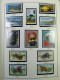 Delcampe - Collection Comores, Sur Album, Jusqu'aux Années 90, Avec Timbres, Neufs **  - Comoros