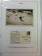 Delcampe - Collection SKI, D'une Exposition, Surtout Timbres, Cartes Postales, Enveloppes - Sonstige & Ohne Zuordnung