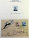 Delcampe - Collection SKI, D'une Exposition, Surtout Timbres, Cartes Postales, Enveloppes - Autres & Non Classés