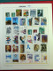 Delcampe - Collection Espagne, Sur Album, De 1981 à 1999, Timbres, Surtout Neufs ** - Collections