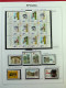 Delcampe - Collection Espagne, Sur Album, De 1981 à 1999, Timbres, Surtout Neufs ** - Collections