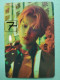 Delcampe - Photocard K POP Au Choix  TXT 2024 Season's Greetings Nuance Yeonjun - Andere & Zonder Classificatie
