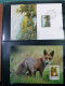 Delcampe - Collection Europe Enveloppes Cartes Postales Entire Postaux Italie Theme Chien - Altri - Europa