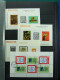 Delcampe - Collection Monde Timbres, Neufs Oblitéré Surtout Theme Expositions Philateliques - Collections (en Albums)