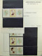 Delcampe - Collection Spécialisé Hongrie Album Timbres Neufs Et Oblitéré Années 50 Brochure - Collections