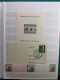 Delcampe - Stocker Europe Classificateur Timbres BF Surtout Neufs** Enveloppe Entire Cartes - Autres - Europe