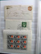 Delcampe - Stocker Europe Classificateur Timbres BF Surtout Neufs** Enveloppe Entire Cartes - Europe (Other)