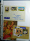 Delcampe - Collection Europe De L’Est, Album, Histoire Postale Et Neuf Timbres ** - Autres - Europe