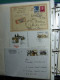 Delcampe - Collection Europe De L’Est, Album, Histoire Postale Et Neuf Timbres ** - Altri - Europa