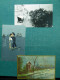 Delcampe - Collection De Cartes Postales Du Monde Boîte Carton 460 Cartes Anciennes Du 900 - 5 - 99 Postales