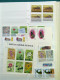 Collection Kirghistan, Sur Pages De Classeur, De 1992 à 2003, Avec Timbres Neuf - Kirgisistan