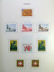 Delcampe - Collection Suisse De Timbres De Soldats, Neufs * Articulés, Sur 2 Albums. Valeu - Collections