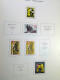 Delcampe - Collection Suisse De Timbres De Soldats, Neufs * Articulés, Sur 2 Albums. Valeu - Collections