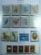 Delcampe - Collection Saint-Marin, De 1968 à 2004 BF Timbres Carnet Neufs ** Surtout Cpl - Collections, Lots & Series