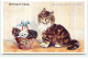 Animaux - Chat - M. Gear - Motherly Pride - Tabby And White Persian Cat And Kittens - Chats