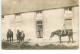 Carte-Photo à Identifier - Intérieur De Ferme - Chevaux - Fattorie