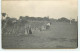 Carte Photo - Chasse ??? - Abris Pour Des Chasseurs - Chasse