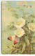 Illustrateur - C. Klein - Papillons Autour De Fleurs - Klein, Catharina