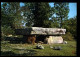 46 Environs De Livernon Dolmen De La Pierre Martine - Livernon