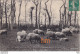 CPA  50   Scene  Normande   Visite  A La  Ferme  Troupe  De Moutons - Other & Unclassified