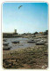 17 - Ile D'Oléron - Port De La Cotinière à Marée Basse - CPM - Carte Neuve - Voir Scans Recto-Verso - Ile D'Oléron