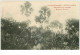 COTE D'IVOIRE.n°31150.TRAVERSEE D'UN MARIGOT - Ivoorkust