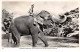 INDE - SAN51206 - Temple Elephant At Katugastota River - Kandy - Ceylon - India