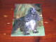 76367-       10 CARDS - HONDEN / DOG DOGS / HUNDE / CHIENS / PERROS - Dogs