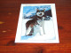 Delcampe - 76367-       10 CARDS - HONDEN / DOG DOGS / HUNDE / CHIENS / PERROS - Dogs