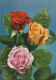 FLOWERS Vintage Postcard CPSM #PAS004.GB - Flowers