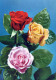 FLOWERS Vintage Postcard CPSM #PAS004.GB - Flowers