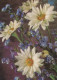 FLOWERS Vintage Postcard CPSM #PAR282.GB - Flores