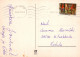 BABBO NATALE Buon Anno Natale Vintage Cartolina CPSM #PAU508.IT - Santa Claus