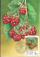 Delcampe - HUNGARY 1986 Fruits Maximum Cards Complet Set  MNH - Cartes-maximum (CM)