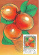 Delcampe - HUNGARY 1986 Fruits Maximum Cards Complet Set  MNH - Cartes-maximum (CM)