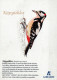 VOGEL Tier Vintage Ansichtskarte Postkarte CPSM #PAM714.DE - Birds