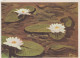 FIORI Vintage Cartolina CPSM #PBZ175.IT - Flowers