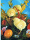 PASQUA POLLO UOVO Vintage Cartolina CPSM #PBO641.IT - Easter