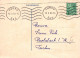 FLORES Vintage Tarjeta Postal CPSM #PAS005.ES - Bloemen